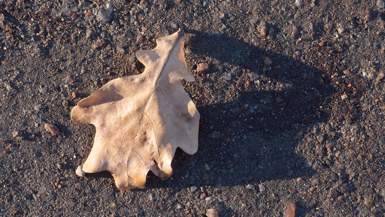 2020-12-26 Kühlgeträt (On/Off) (Remix John Cage - Empty Words IV)